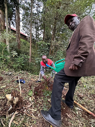 Planting bamboo.jpg