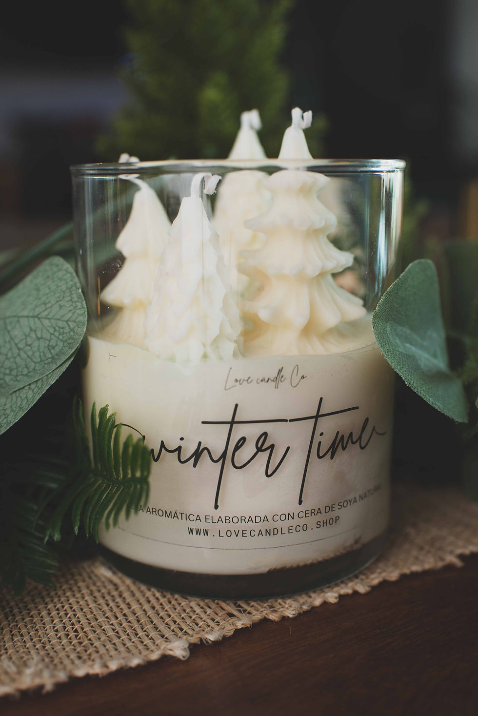 Miniatura: Vela Winter time
