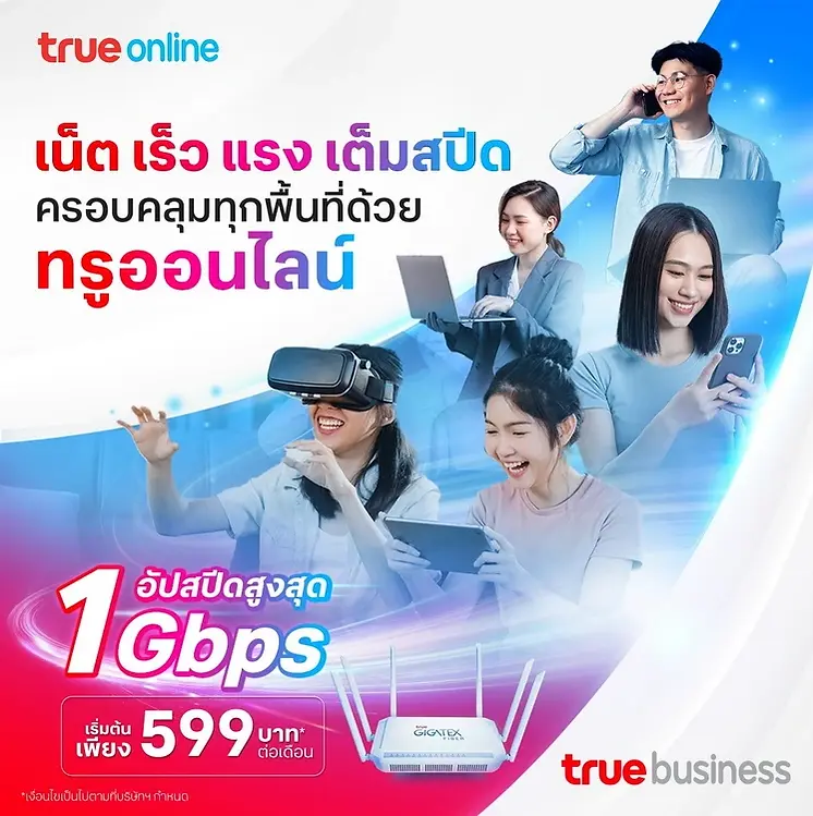 เน็ตทรู นิติบุคคล