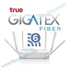 True Gigatex Router.webp