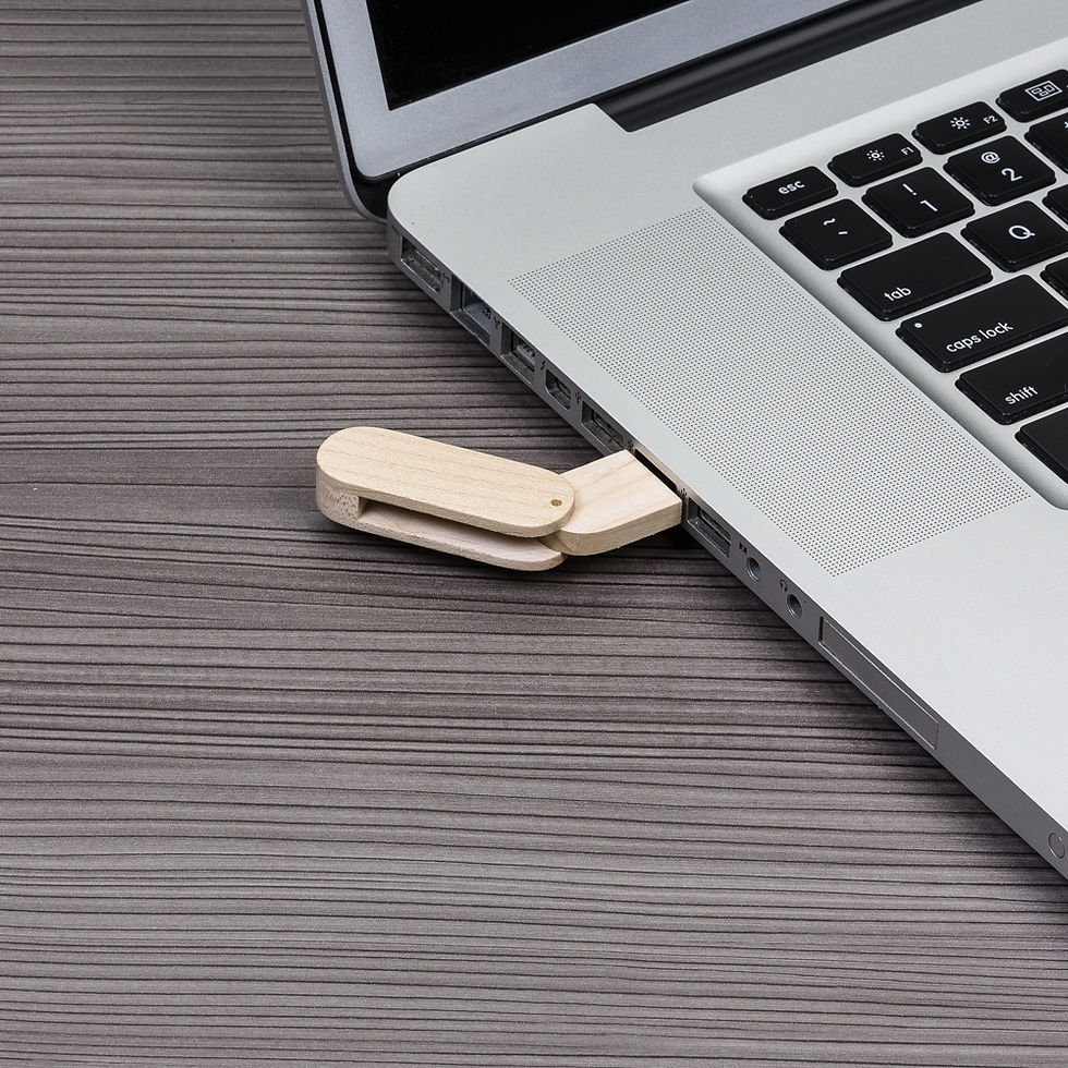 Miniatura: 00033 Pen Drive Bambu Giratório 4GB