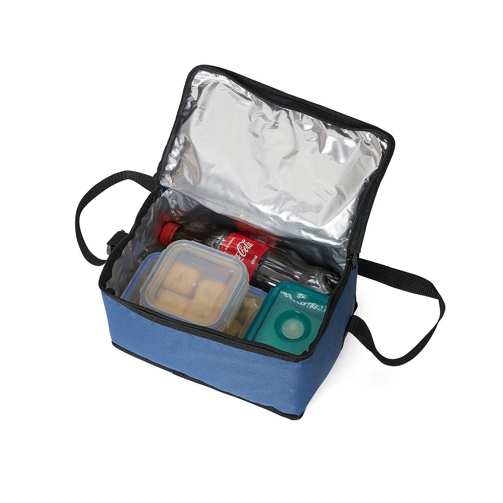 Miniatura: 1330P - Bolsa Térmica 9L