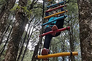 Ladder Bridge at Nainital Camping.webp