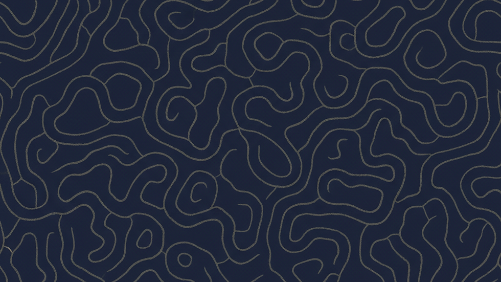 ant_maze_texture.png