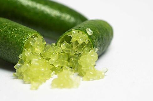 finger lime close up.jpg