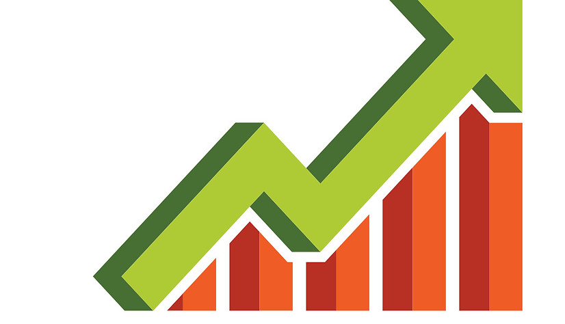 Insight New logo- Photo.jpg