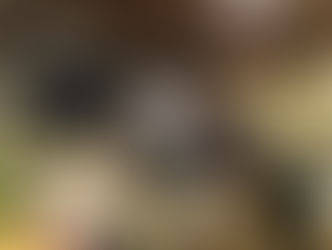 2018年12月5日(水)NHKラジオ NHKジャーナル
出演しました!