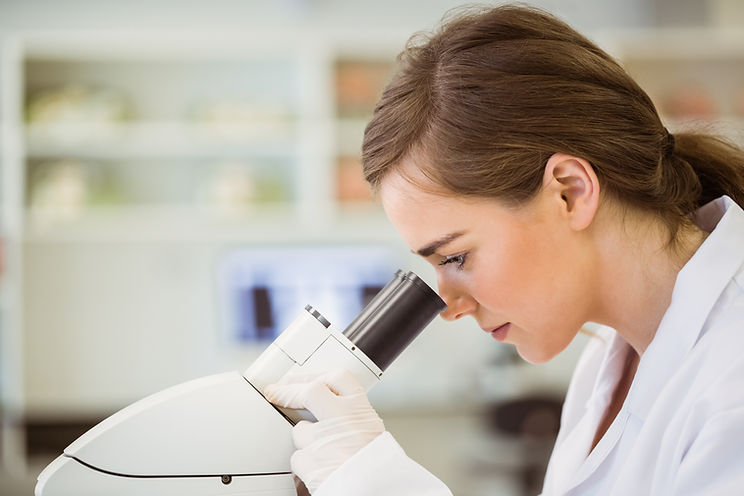 Microscopic Plaque Analysis