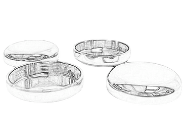 castor cups