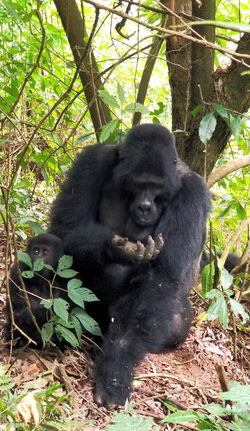 20180622_112819_edited