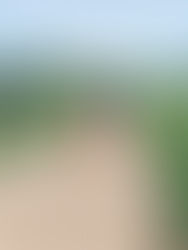 A Reset Rhythm for Summer