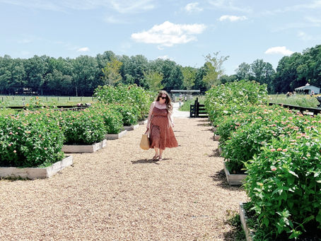 A Reset Rhythm for Summer