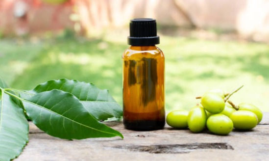 Neem's Impact on Immune Function
