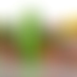 Natural Multivitamin and Minerals help to Boost Immune System Dietary Supplement