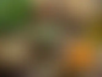 Uncovering the Best Natural Supplements for Stress and Anxiety: A Science-Backed Guide for Lasting Relief