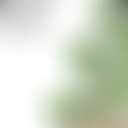 Ashwagandha Extract Capsule- Natural Supplement Promoting A Healthy Stress Response, Energy Support & Nervous System Health - Ayurvedic Supplement for Natural Wellness