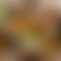 Exploring the Top Natural Supplements for Boosting Fertility in Men and Women