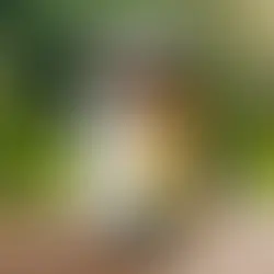 Unlock Your Natural Energy: The Ultimate Guide to Combatting Fatigue with AlgEnergy Nutra's Health Supplement!