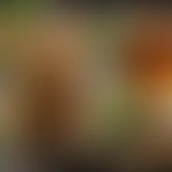 The Surprising Benefits of Ginseng: A Guide for Health Professionals