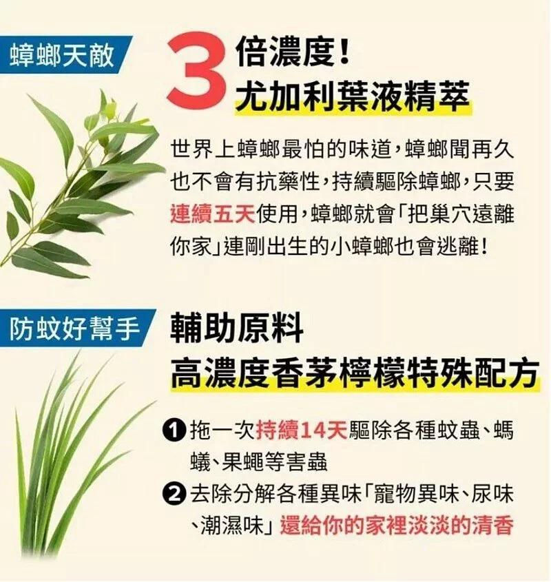台灣 HOUSEWORK QUEEN 植萃驅蟲地板清潔劑