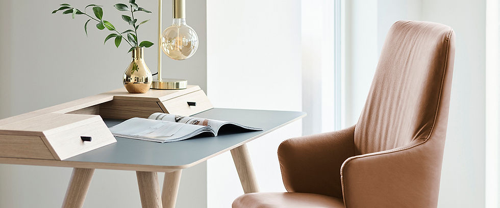 Sressless Home Office Laurel