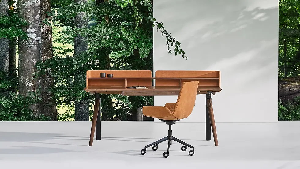 bureau-pisa-noyer-massif-team7-