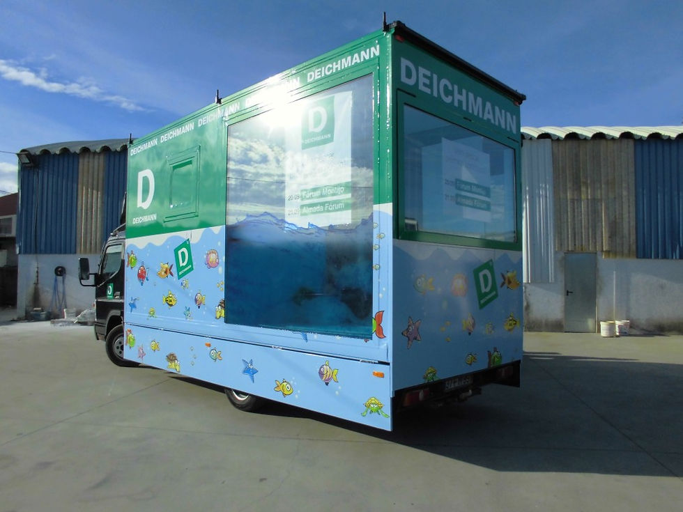 Carrinha Deichmann - 2013
