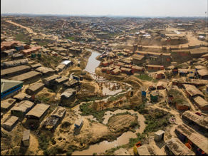 Reforestation in Refugee Camps: Leveraging STEM Education for the SDGs