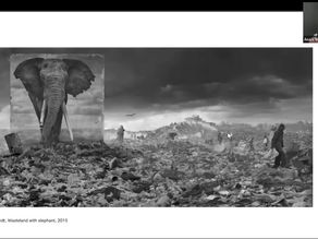 Global Schools and SDSN Spain host webinar on art and the SDGs