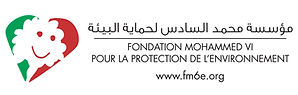 HD-Logo Fondation VF.jpg