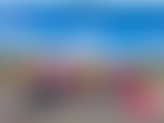 Global Schools Hosts Side Event at 2024 ECOSOC Partnership Forum