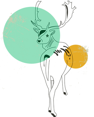Sketch cerf