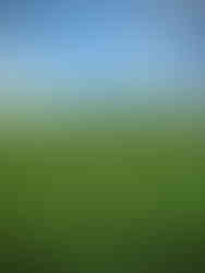 A view of baranti lake in purulia. Taken by Aniruddha Pandey, professional wedding and ifestyle photographer, on the pre-wedding / post-wedding candid photoshoot using iphone and nikon professional camera.