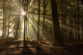 Hoe praat God tegen ons?