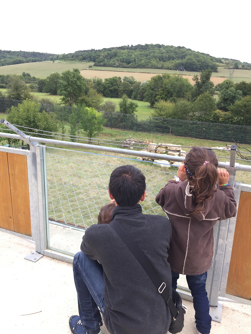 parc de l'auxois vue sur la fosse au lions