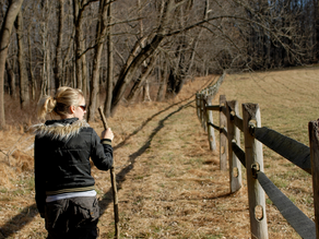 Fall Hikes and 4 Reasons You Need a Chiropractor in Raleigh