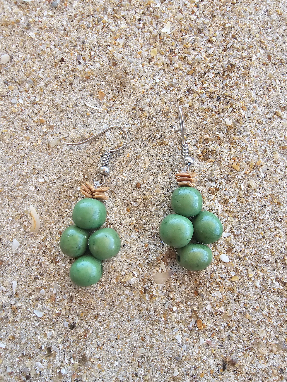 Thumbnail: Seed Bead Earrings - Indigenous Craft, Brazil
