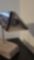 Thumbnail: Fish Swimming