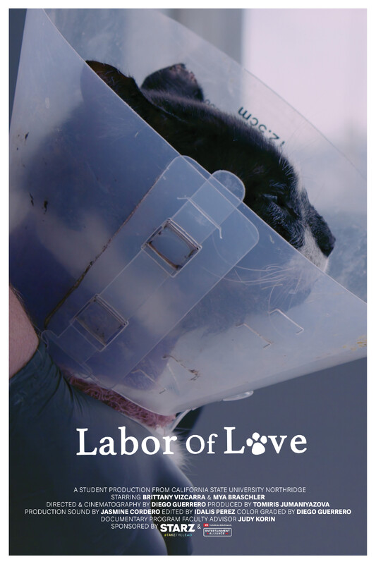 Labor of Love