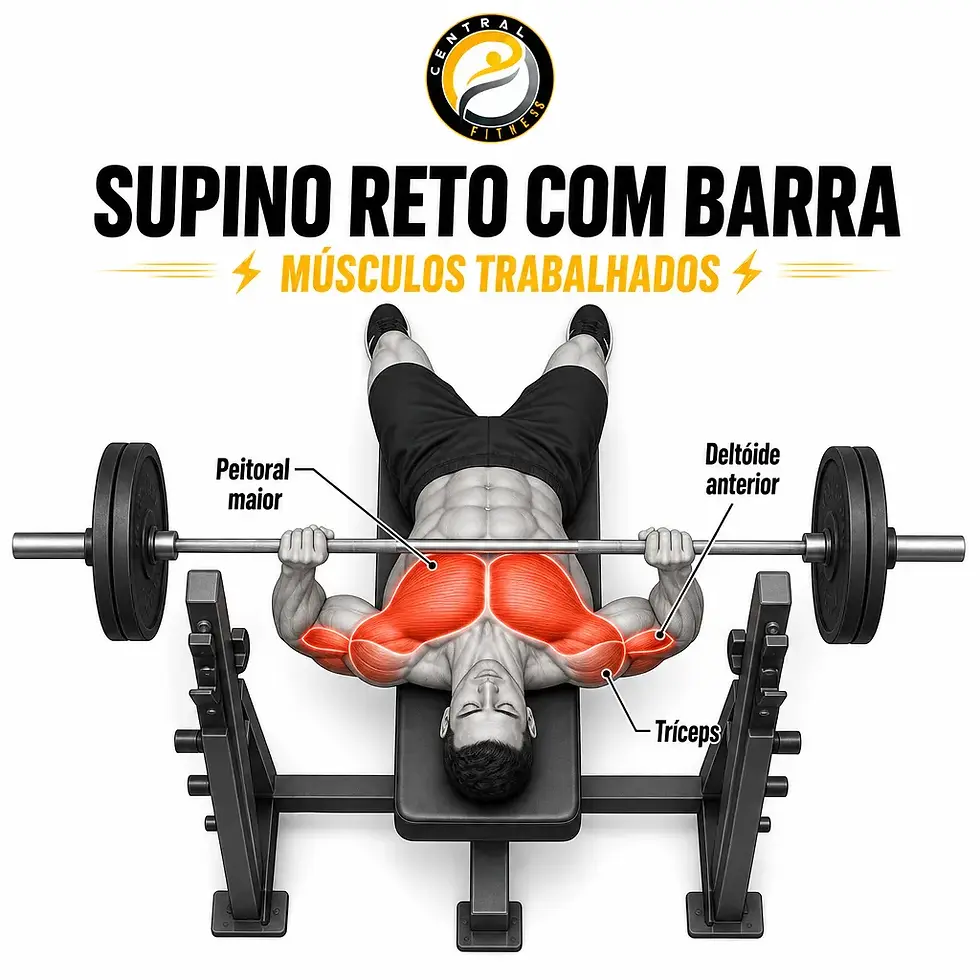 Imagem mostrando o supino reto com barra sendo executado no banco.