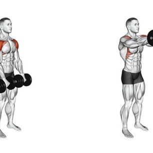 Front Raises: Form, Muscles Worked, Benefits & Safer Alternatives