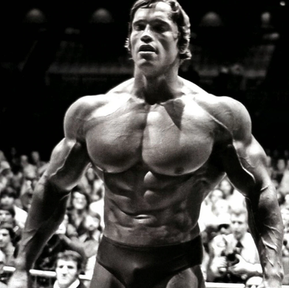 6 Melhores Exercícios para Peito com Halteres