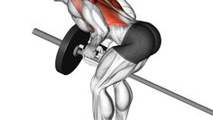 T-Bar Rows: Row Your Way to a Back Worth Flexing!