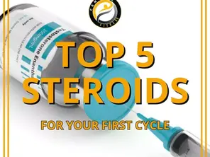 Best 5 steroids for beginners