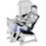 Seated Leg Curl