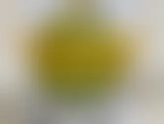 A Verdade Sobre a Dieta dos Pontos: Por Que Você Emagrece Comendo Pizza (E o Perigo Oculto Nisso)