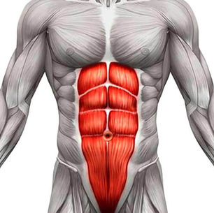 Core Exercises: Strengthen Your Abs & Prevent Lower Back Pain