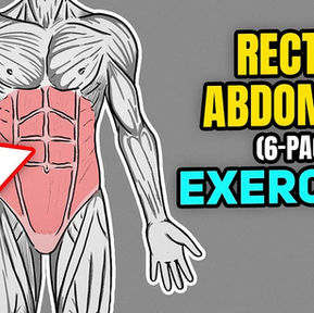 Exercises for Rectus Abdominis