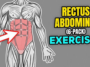 Exercises for Rectus Abdominis