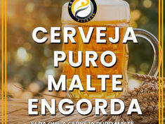 Cerveja Puro Malte Engorda? Impacto na Dieta do Atleta e Estratégias para Fitness em 2025